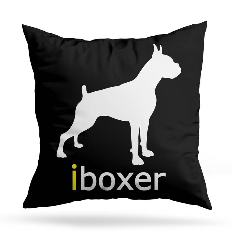 Cojin Deco Iboxer (D0194 Boleto.Store)