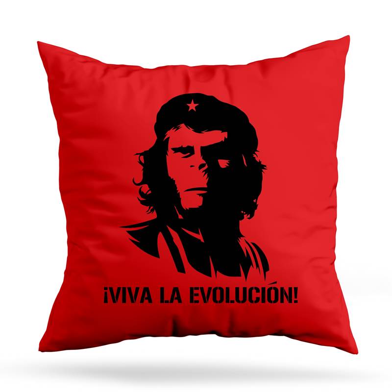 Cojin Deco Evolucion (D0731 Boleto.Store)