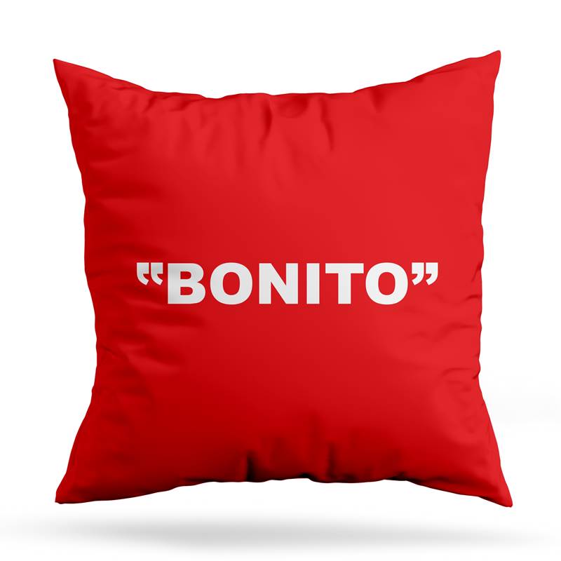 Cojin Deco Bonito (D1034 Boleto.Store)